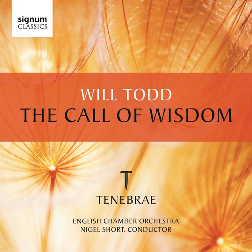 the album cover for Nigel Short - Call of Wisdom