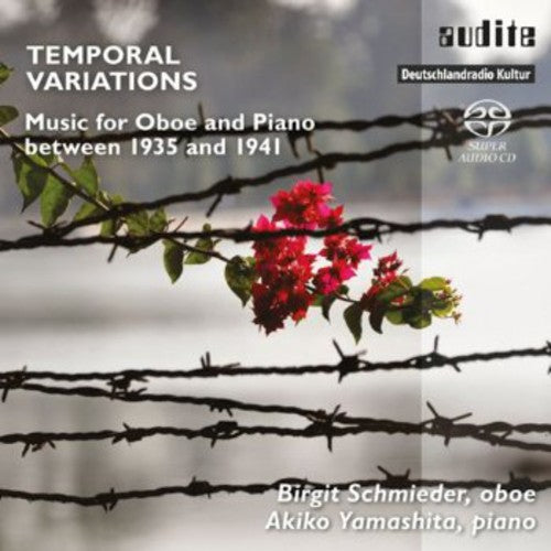 the album cover for Birgit Schmieder - Temporal Variations