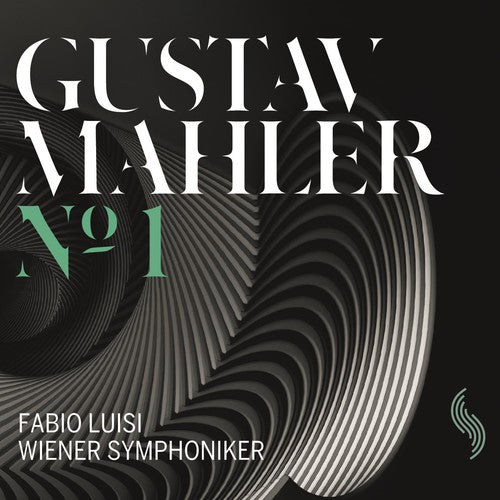 the album cover for Fabio Luisi - Symphony No. 1