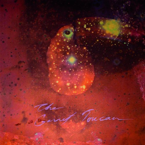 the album cover for Monopoly Child Star Searchers - The Garnet Toucan