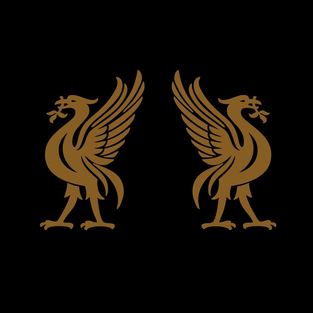 the album cover for Joey Cape - Liverbirds