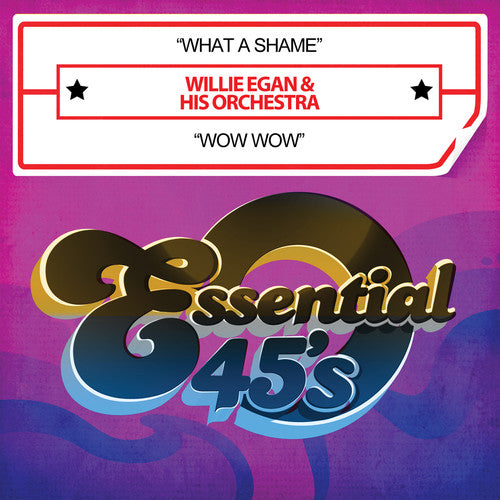 the album cover for Willie Egan - What A Shame (Mod)