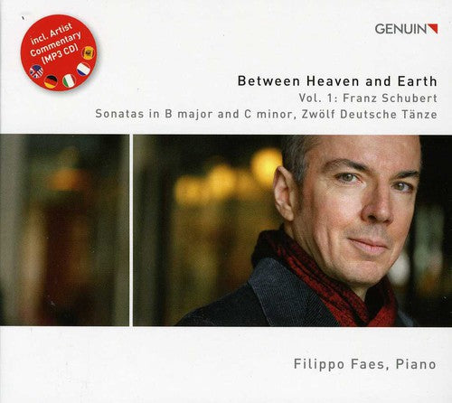 the album cover for Filippo Faes - Between Heaven & Earth 1