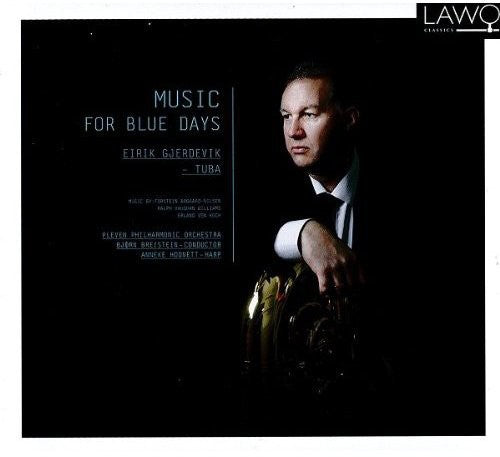 the album cover for Koch / Gjerdevik / Hodnett - Music for Blue Days