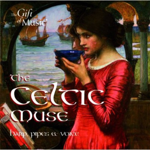 the album cover for Traditional / S Hill / Amber Quartet - Celtic Muse