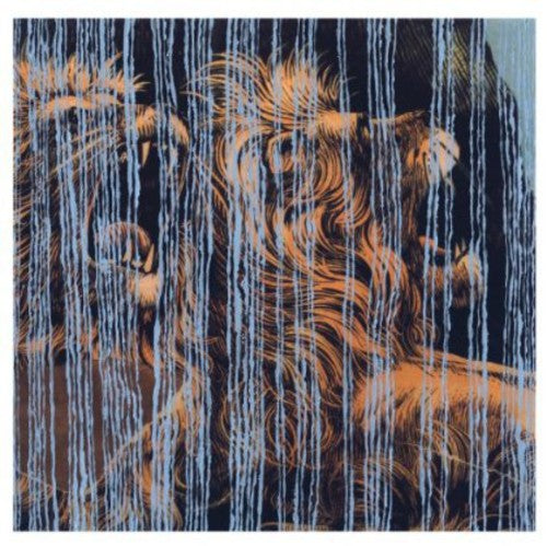 the album cover for Julian Lynch - Lines