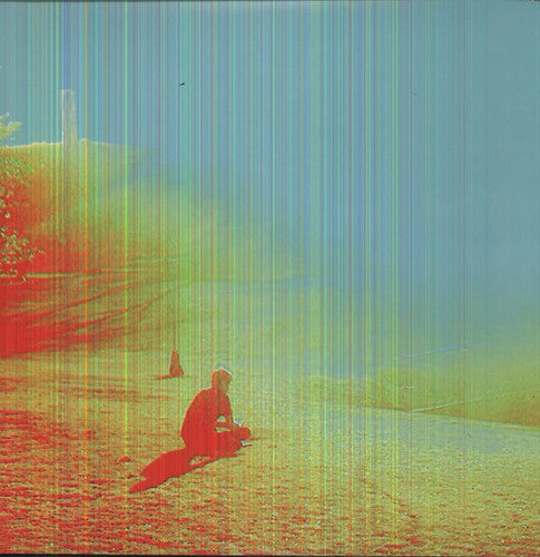 The Flaming Lips - The Terror [LP]