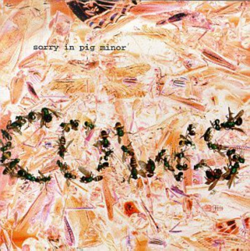 the album cover for Cows - Sorry in Pig Minor