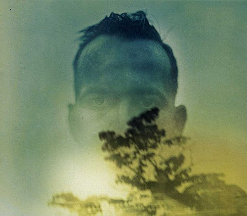 the album cover for Duquette Johnston - Rabbit Runs a Destiny