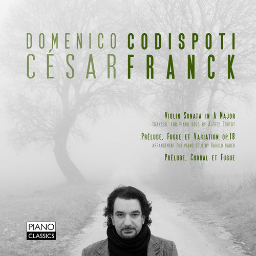 the album cover for Cesar Franck - Preludes Violin Transcription