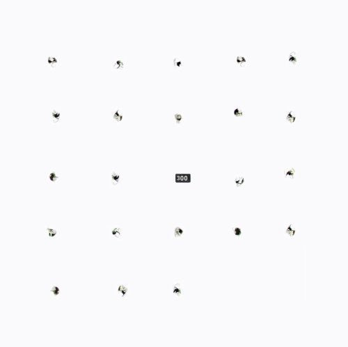 the album cover for Durian Brothers/Ensemble Skalectrik - Split Series 22