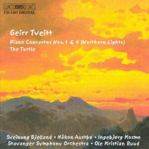 the album cover for Sveinung Bjelland - Concerto / Turtle