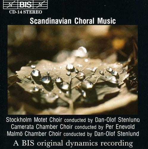 the album cover for Scandinavian Choral Music / Various - Scandinavian Choral Music / Various