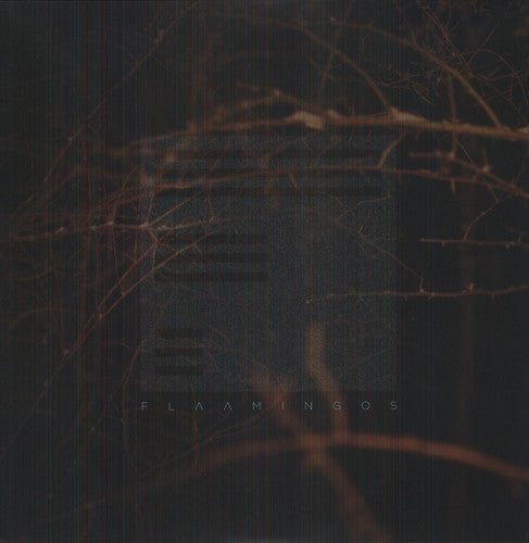 the album cover for Flaamingos - Flaamingos