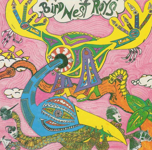 the album cover for Bird Nest Roys - Compilation