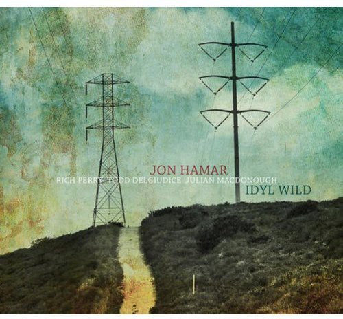the album cover for Jon Hamar - Idyl Wild