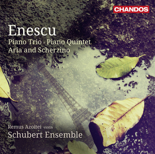 the album cover for Schubert Ensemble - Piano Trio / Piano Quintet / Aria & Scherzino