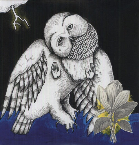 the album cover for SongsOhia - Magnolia Electric Company Co