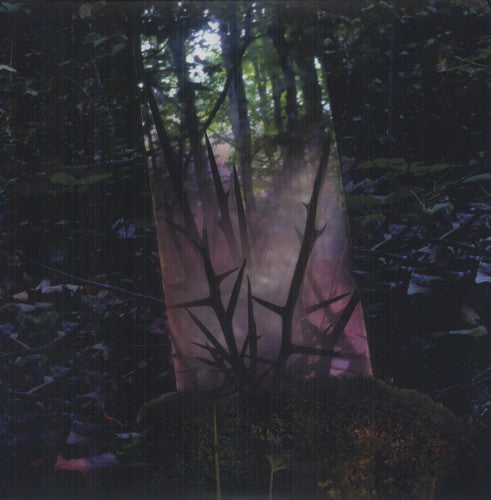 the album cover for Jensen Sportag - Stealth of Days