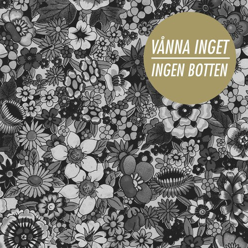 the album cover for Vanna Inget - Ingen Botten
