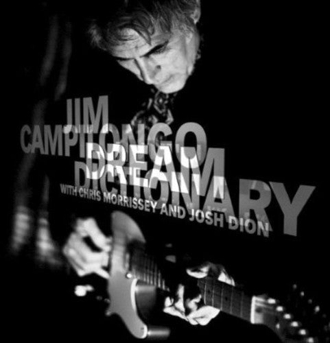 the album cover for Jim Campilongo - Dream Dictionary