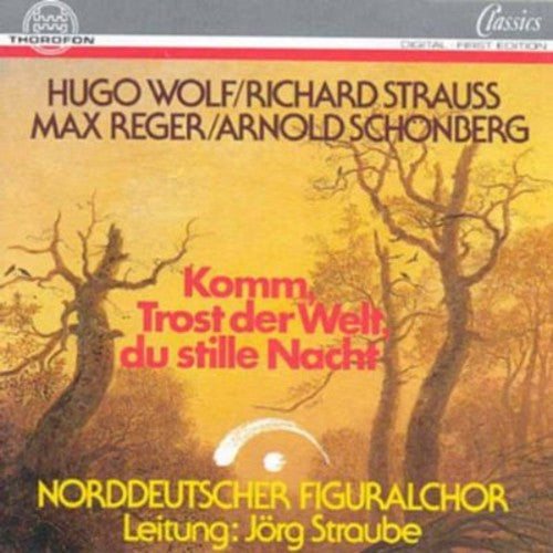 the album cover for Norddeutscher Figuralchor - Come Consolation of the World