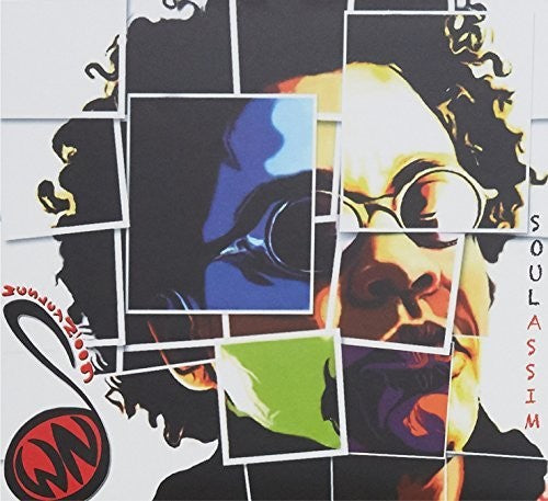 the album cover for Wesley Noog - Soul Assim
