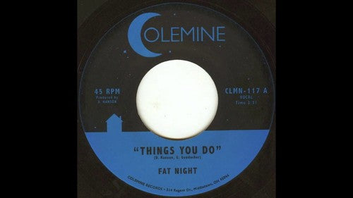the album cover for Fat Night - Things You Do