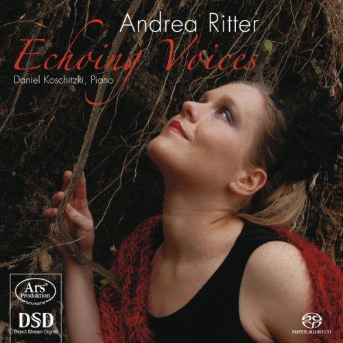 the album cover for Daniel Koschitzki - Echoing Voices