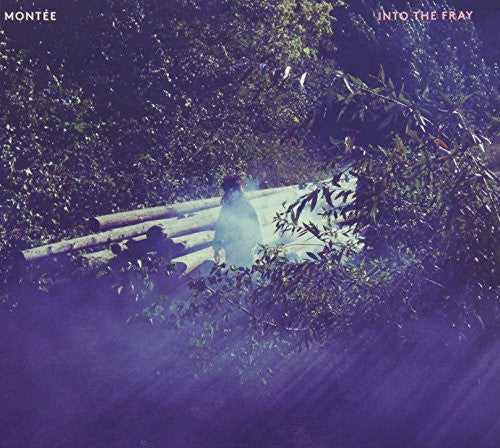 the album cover for Montee - Into the Fray