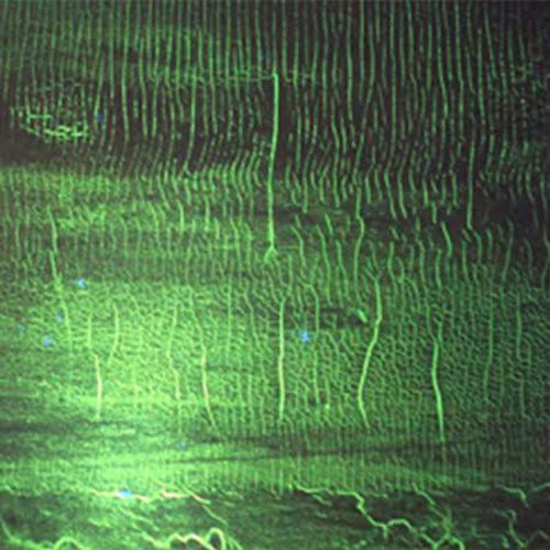 the album cover for Donato Dozzy - K