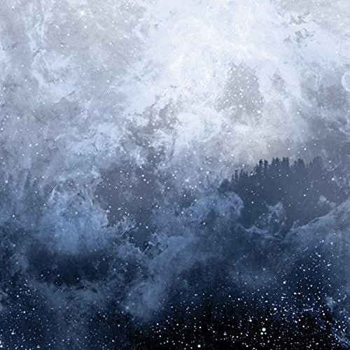 the album cover for Wolves In The Throne Room - Celestite