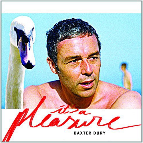 the album cover for Baxter Dury - It's A Pleasure [Vinyl]