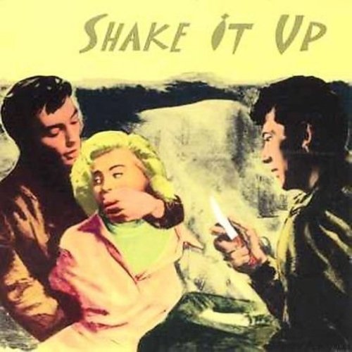 the album cover for Shake It Up - Shake It Up