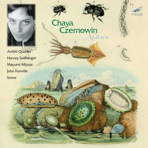 the album cover for Louis/Ekizian,Michelle Karchin - Afatsim