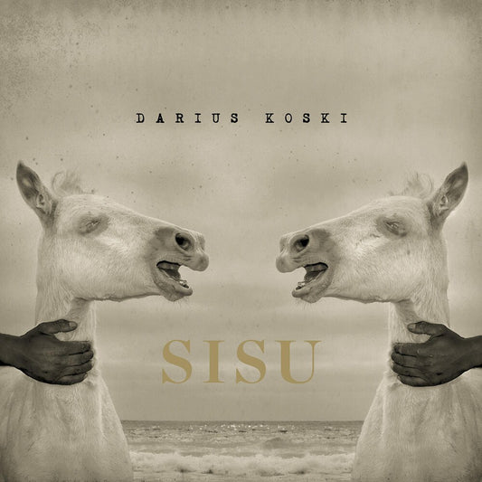 the album cover for Darius Koski - Sisu [Vinyl]