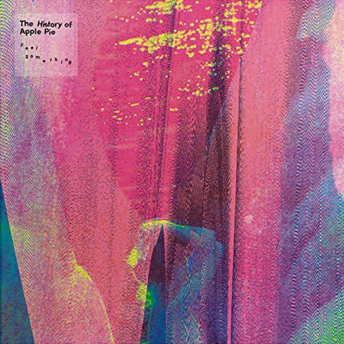 the album cover for History Of Apple Pie - Feel Something