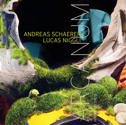 the album cover for Schaerer / Niggli - Arcanum