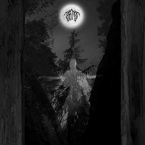 the album cover for Taatsi - Amidst the Trees