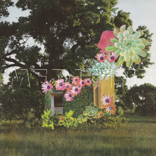 the album cover for Medicine - Home Everywhere