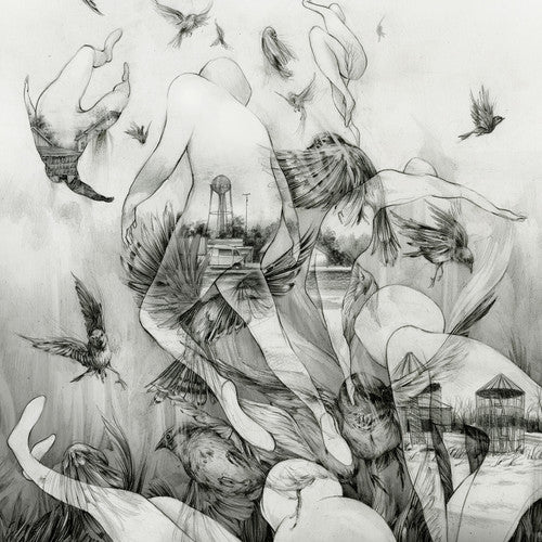 the album cover for Mono - Last Dawn