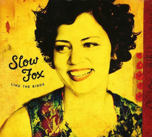 the album cover for Slow Fox - Like the Birds