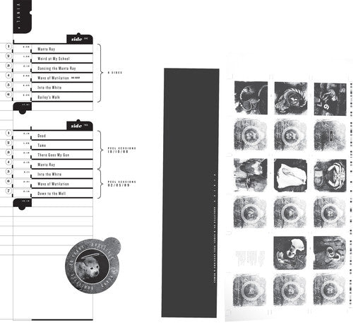 Pixies - Doolittle 25: B-Sides, Peel Sessions & Demos [Limited Edition Vinyl]