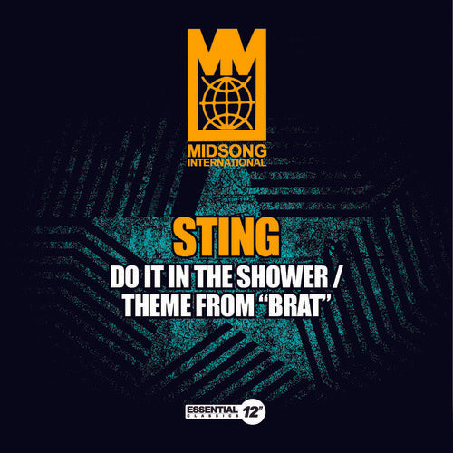 the album cover for Sting - Do It in the Shower / Theme from Brat