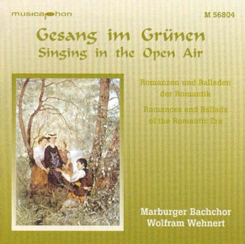 the album cover for Wolfram Wehnert - Romances & Ballads of the Romantic Era