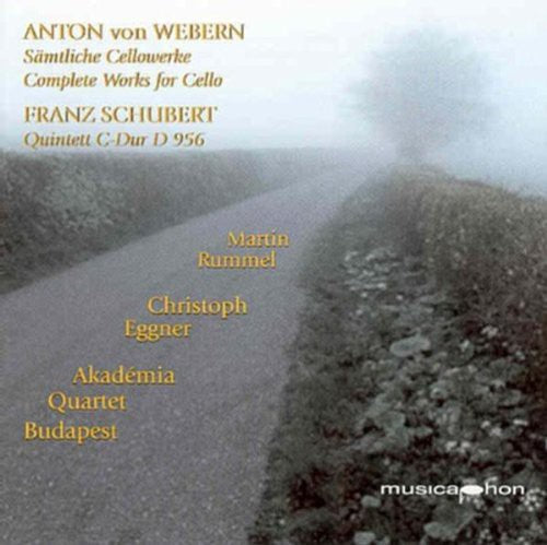 the album cover for Budapest Academy Quartet - Zwei Stucke for Violoncello Und Klavier