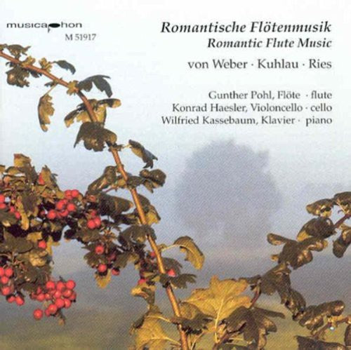 the album cover for Kuhlau / Haesler / Kassebaum - Flute Trio