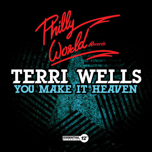 the album cover for Terri Wells - You Make It Heaven