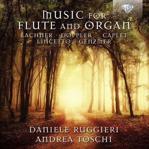 the album cover for Ruggieri / Ruggieri / Toschi - Music for Flute & Organ
