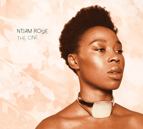 the album cover for Ntjam Rosie - One